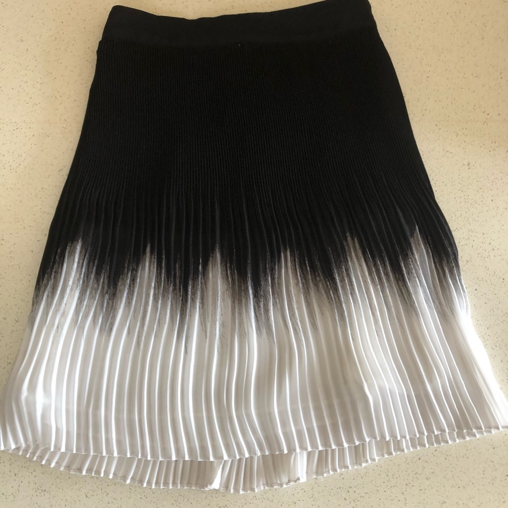 NWOT Black & White Pleated Skirt